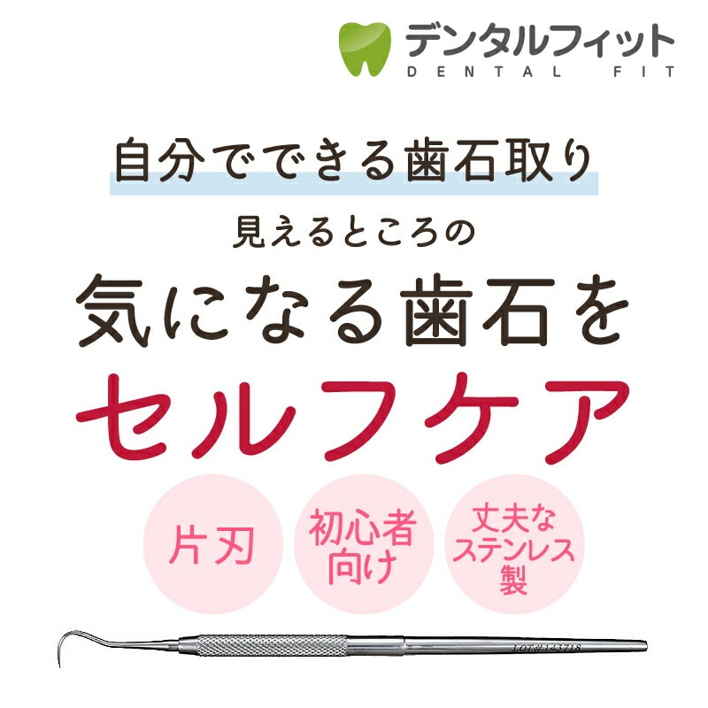 アメリカンイーグル スケーラー 歯石取り 4本 楽天市場】【歯石取り