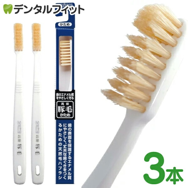メール便で送料無料】エビス 豚毛歯ブラシ かため 3本セット 歯の