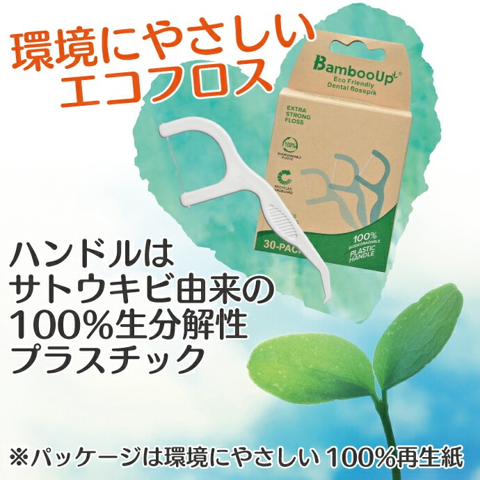 メール便で送料無料】エコフレンドリーフロス (フロスピック) 4箱