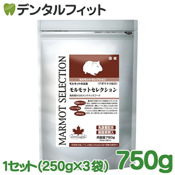 モルモットセレクション 750g 1セット(250g×3袋) モルモットの餌
