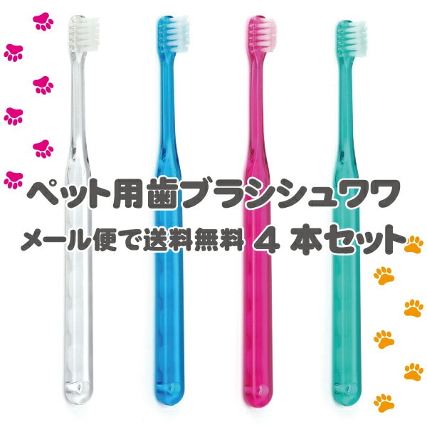 ミィーノルバサンシャンプー 0.5 200ml 4本、オチックセット Amazon | キリカン洋行 【4本セット】ノルバサンシャンプー0.5 200mL