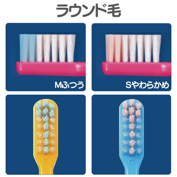 Ci PRO PLUSシリーズ4本アソートセット (ラウンド毛Mふつう、Sやわらか