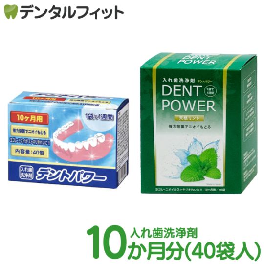 入れ歯洗浄剤 デントパワー 10ヶ月用 40袋入り 1箱