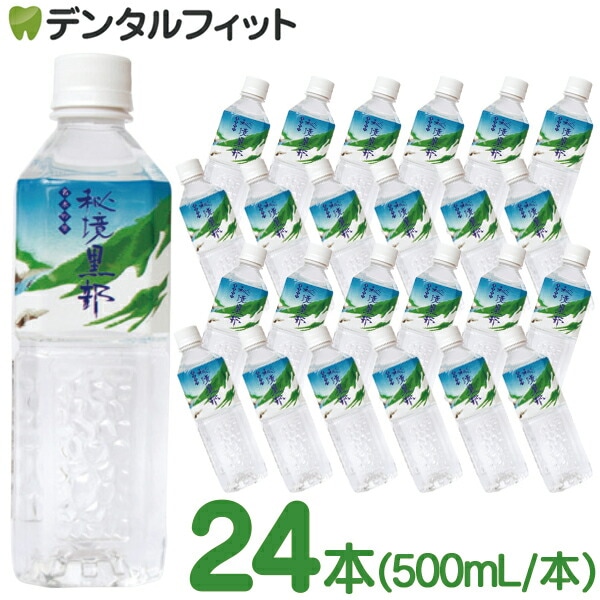 名水の里！黒部産 天然自然薯1本で ≒570ｇ 送料無料】富山 ビバレッジ ミネラルウォーター 名水の里 秘境 黒部 24