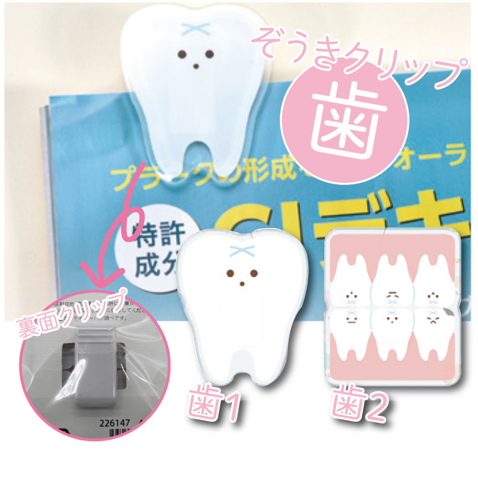 【マニア必見】けんぞうさんの奥歯SET ぞうきCLIP（歯2）1個