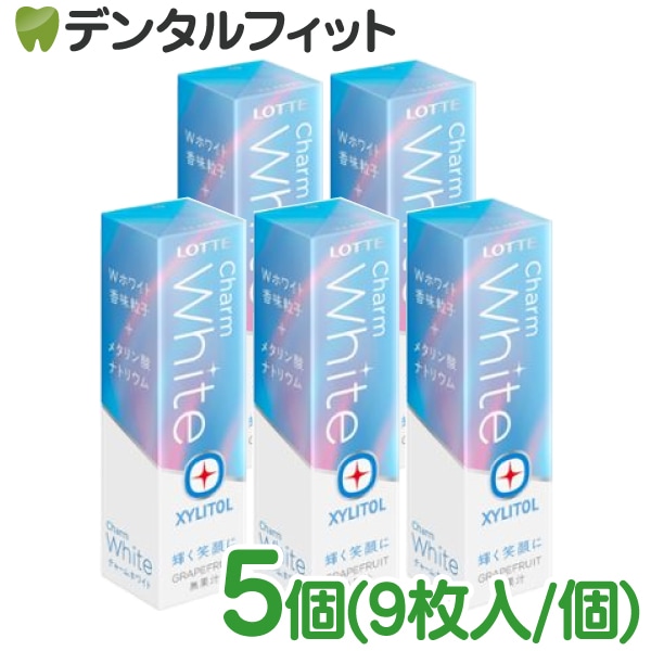 【当選品】　ロッテ　キシリトール　スティックガム　クッション　抱き枕　送料込 当選品】 ロッテ キシリトール スティックガム クッション 抱き