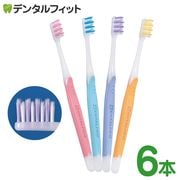 ǥ󥿥ץ ֥  3֥饷 1Ȣ(6) դĤ