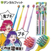 ڥ᡼ؤ̵ۥӥ ץå NUMA ץ/ץ ӤΤ:դĤ 1/4/12