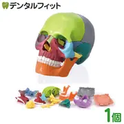 �ߥ˥ߥ˥�����15ʬ�� 1��