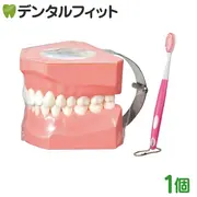 ��Ƴ�ѳ��Ϸ� 1�� �� �� �Ϸ� ����