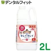 ���쥤���쥤 ����ˢ�ϥ�ɥ����� [LION] �ե롼�ĥߥå����ι�� 2L����