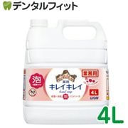 ���쥤���쥤 ����ˢ�ϥ�ɥ����� [LION] �ե롼�ĥߥå����ι�� 4L����