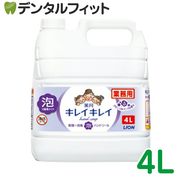 ���쥤���쥤 ����ˢ�ϥ�ɥ����� [LION] �ե�����륽���פι�� 4L����