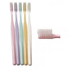 �ץ����ڥå��ץ饹 / ����ѥ��ȥ���� / ���ե� / 5������