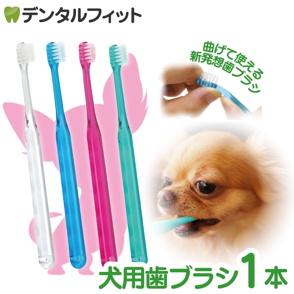 歯科医院専売品】犬用歯ブラシ Ci シュワワ 1本の通販｜デンタル