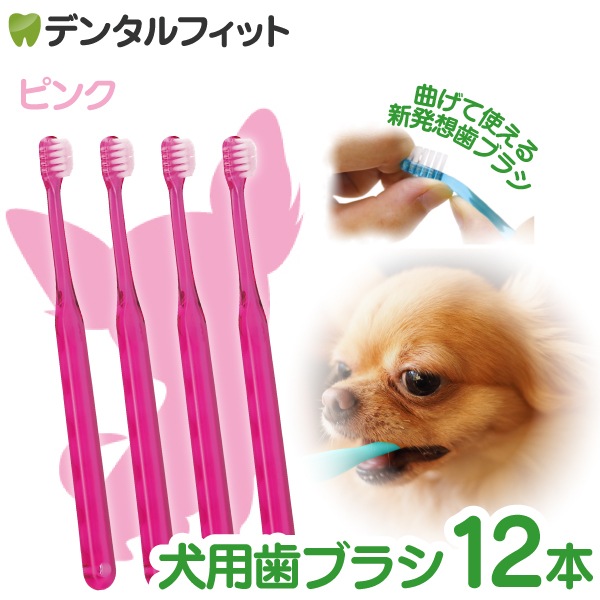 ビルバック C.E.T歯みがきペースト/バニラミントフレーバー/犬・猫用