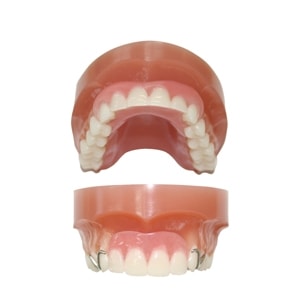 フルデンチャー　入歯　模型　２個セット フルデンチャー 入歯 模型 2個セット