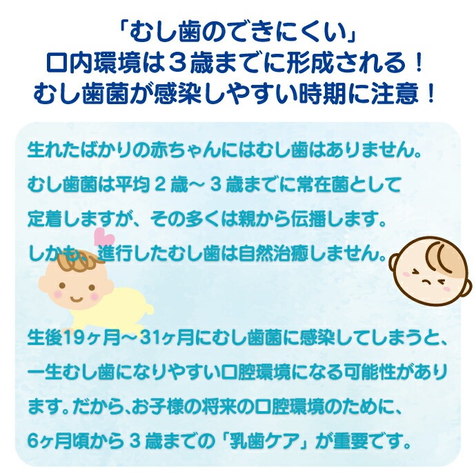 ���٤� L8020 ���֥�å� �������٥ӡ� L8020���� ���֥�å� 1��(60γ����)