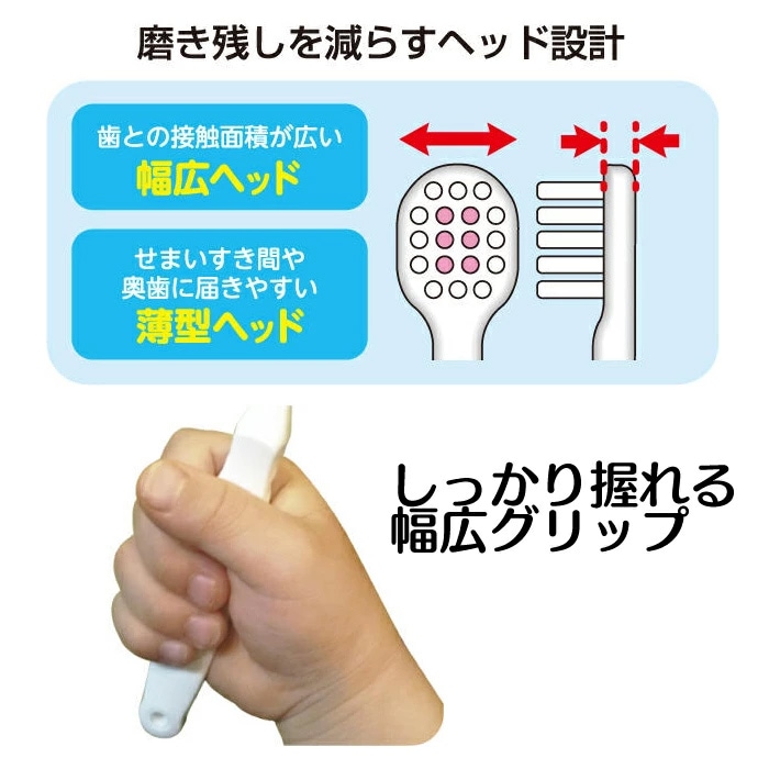 送料無料】子ども用歯ブラシ 2～6歳向け 名探偵コナン 1箱(12本