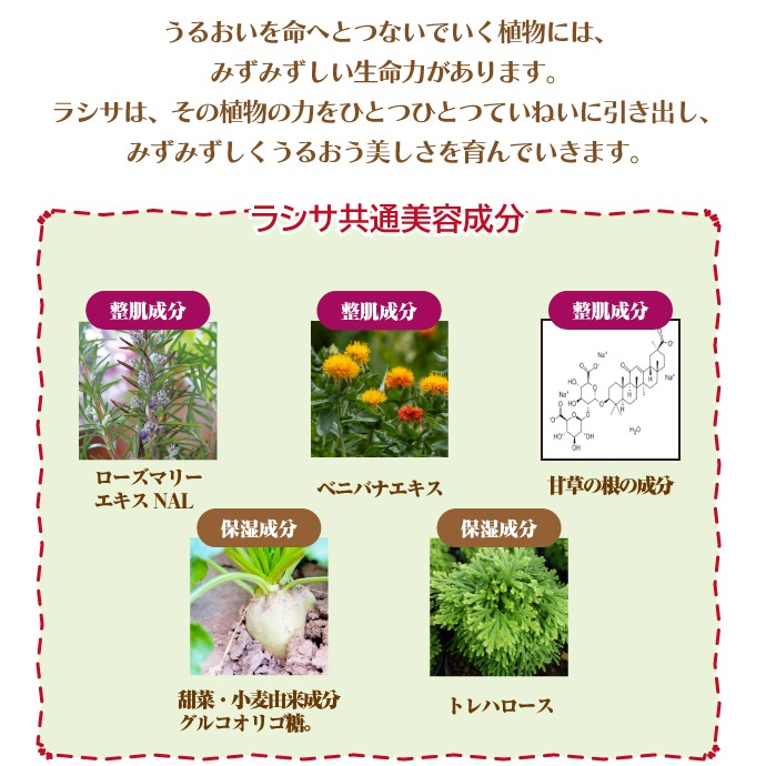 �ʥ��� �饷�� �ޥ���� �ե����ߥ� �����å��� 150mL��Ĺ������ �ʥ��� �ӥ塼�ƥ�������