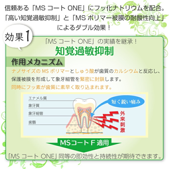 MS������F 1���å�(��ե��륻�å�) �γв�����������������̵����