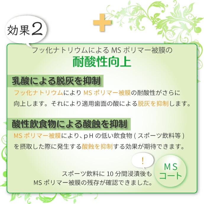 MS������F 1���å�(��ե��륻�å�) �γв�����������������̵����