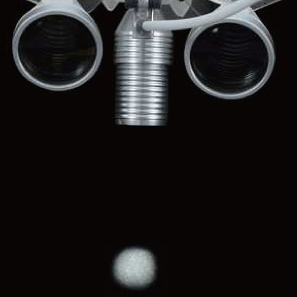 ZUMAX���ץ��롼���ѡ�LED�إåɥ饤�ȡ�HL8300���ʻ����ѥ롼���ѡ�LED�إåɥ饤�ȡ�