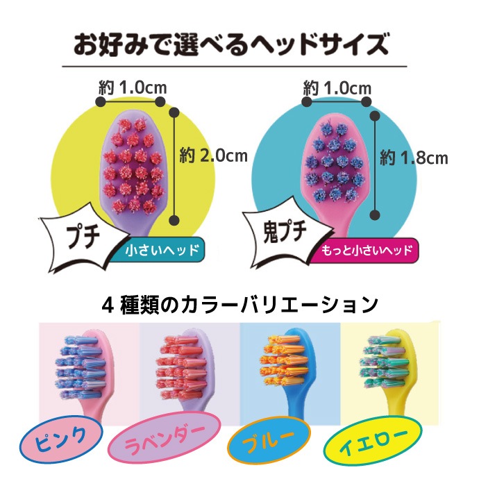 ڥ᡼ؤ̵ۥӥ ץå NUMA ץ/ץ ӤΤ:դĤ 1/4/12
