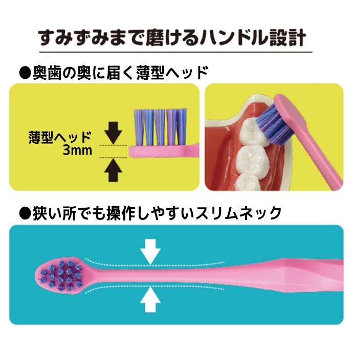 ڥ᡼ؤ̵ۥӥ ץå NUMA ץ/ץ ӤΤ:դĤ 1/4/12