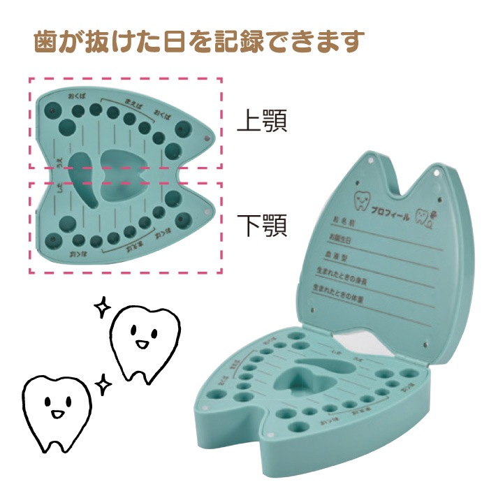 TOOTH BOX 1�� ��Ͽ���񤱤�����������(�ԥ�/���꡼��) W117��D115��H38mm