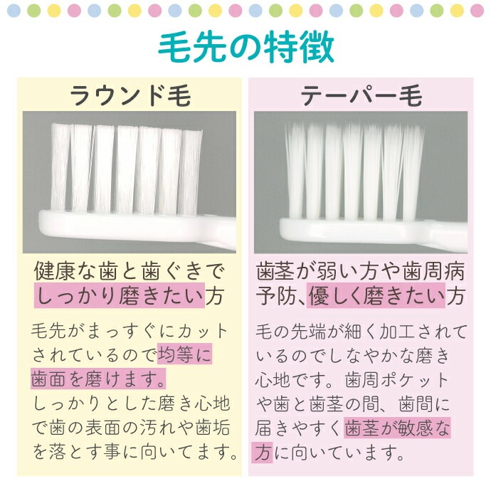 �ڡ�50%OFF 4/23 23:59���ۡڥ᡼���ؤ�����̵���ۥꥻ���� 8��/18��/36�� (M�դĤ�/S���餫��/�ơ��ѡ���M�դĤ�)