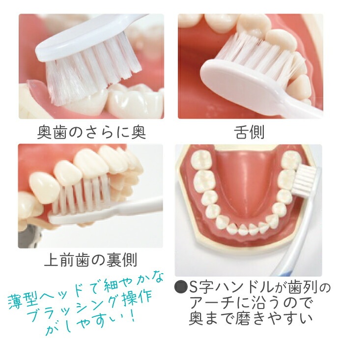 �ڡ�50%OFF 4/23 23:59���ۡڥ᡼���ؤ�����̵���ۥꥻ���� 8��/18��/36�� (M�դĤ�/S���餫��/�ơ��ѡ���M�դĤ�)