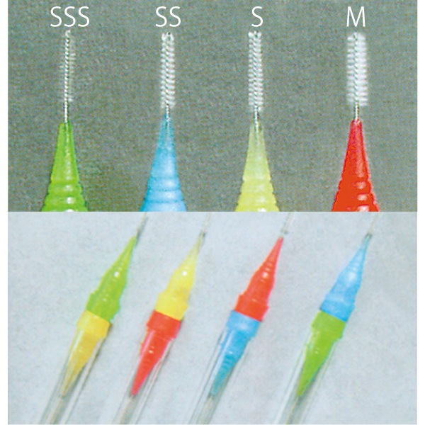 �ڹ񻺡ۥǥ󥿥�饤�ջ��֥֥饷 SS 1�ѥå�(10����)