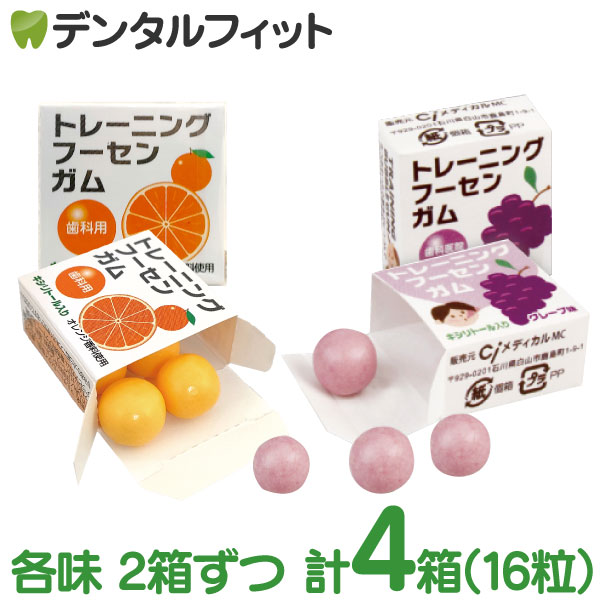 �ڥ᡼���ؤ�����̵���ۻ��ʰ屡���ѥȥ졼�˥� �ա����󥬥�(4γ��4Ȣ) ���졼��̣ & �����̣ ��̣2�Ĥ���