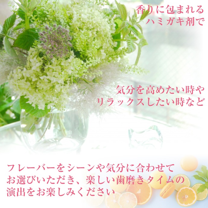 �ڥ᡼���ؤ�����̵���� ���٤�ե졼�С� EBiSU ZERO PREMIUM CARES �����ץ�ߥ��ॱ���� 2�ܥ��å� ���᤭�� ���᤭ʴ 1�� 90g ���ӥ� �ե������ ���ȥ饹 ���꡼�� �ե���1450ppm