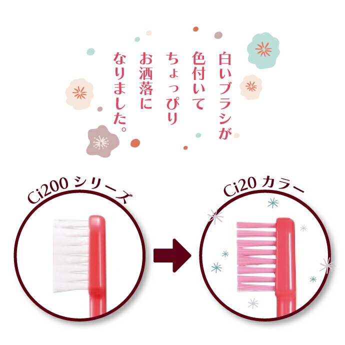 Ci20���顼 / MS�����餫�� 1Ȣ(100��)��Ci��ǥ����� ���֥饷��