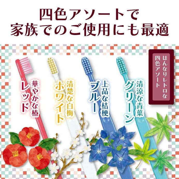 Ci20���顼 / MS�����餫�� 1Ȣ(100��)��Ci��ǥ����� ���֥饷��