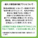 Ci20���顼 / MS�����餫�� 1Ȣ(100��)��Ci��ǥ����� ���֥饷��