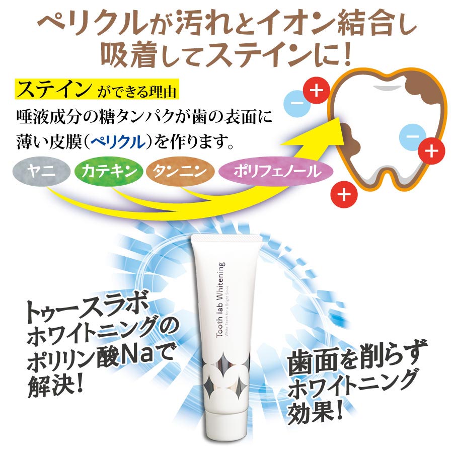 �ڡ�30%OFF 4/23 23:59���ۡڥ᡼���ؤ�����̵����Tooth lab Whitening-�ȥ�������ܥۥ磻�ȥ˥�- 2�ܥ��å�(100g/1��)������ ���ߤ���ʴ��