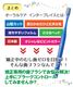 ������륱�� ���� ���֥饷 ���󥿡��֥쥤�� 1��