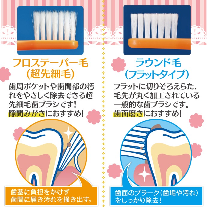 ڥݥ ֥饷 Ci700(եơѡ)/Ci702(饦 MդĤ)Ciǥ ֥饷