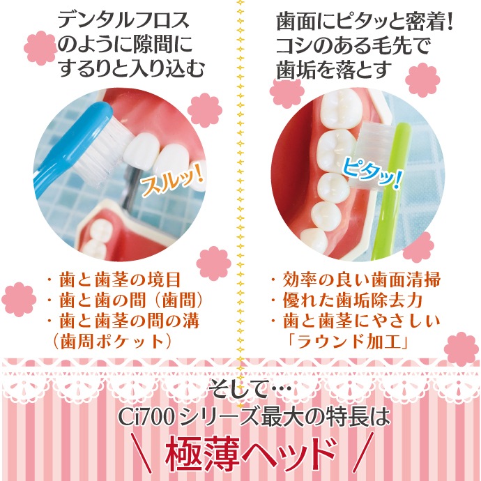 ڥݥ ֥饷 Ci700(եơѡ)/Ci702(饦 MդĤ)Ciǥ ֥饷