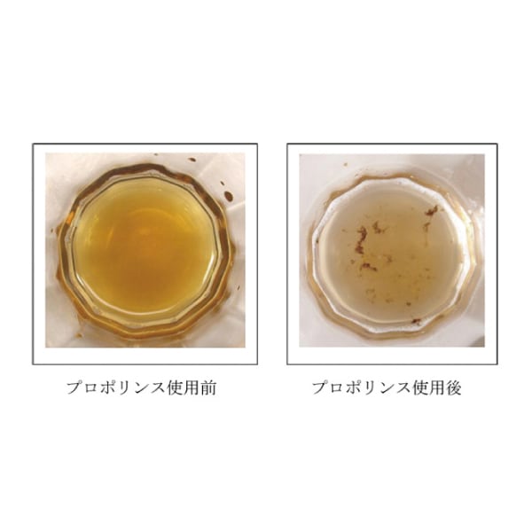 �ޥ��������å��� �֥ץ��ݥ�󥹡� / �ܥȥ륿���� �쥮��顼�����ס�600ml��