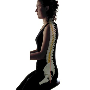 Salliチェアー[Salli Sway] ミドルタイプ（ブラック） ※開封後の返品