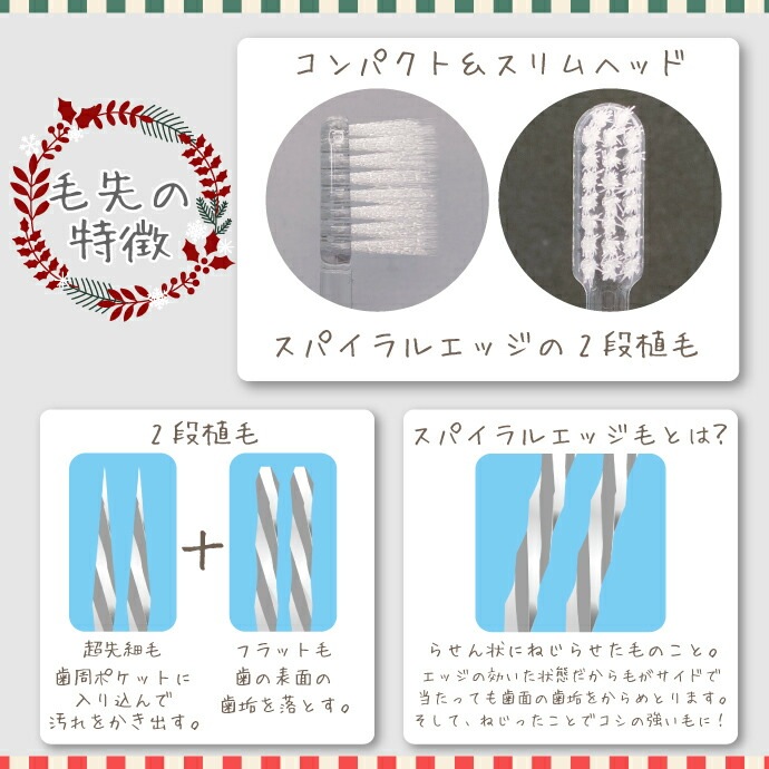 Ci���꡼�Ȼ��֥饷 ���ꥹ�ޥ��� 12������ 