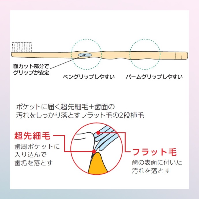 送料無料】CiPRO ADジュエル Jewel 歯ブラシ M（ふつう）個箱タイプ 12