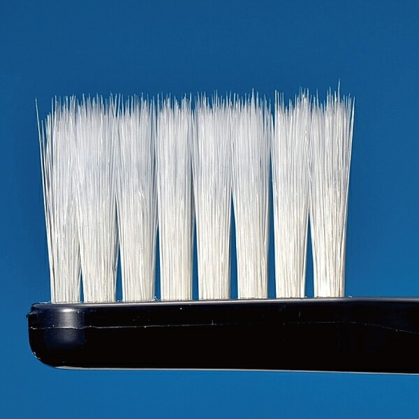 �ڡ�20%OFF 4/23 23:59���ۡڥ᡼���ؤ�����̵���ۥꥫ�� ���֥饷 �ե����ơ��ѡ���(M�դĤ�)�֥�å��ϥ�ɥ� ����å��� 6��