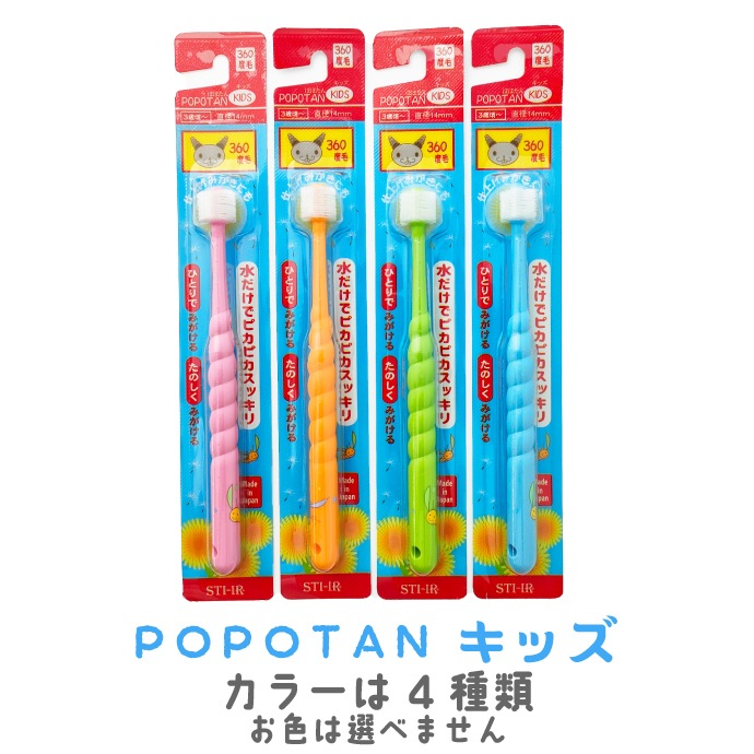 ڥ᡼ؤ̵ۼܿ٤ POPOTAN 360ٻ֥饷 1ܡ12 å / ٥ӡ