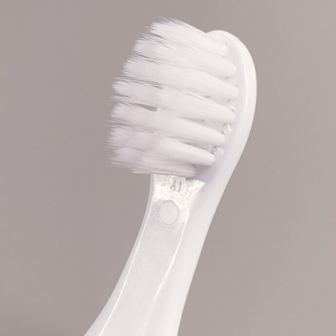 Ci�٥��ӡ��ƥ��������֥饷 1�� ���餫�� �����顼����Ź���ޤ���