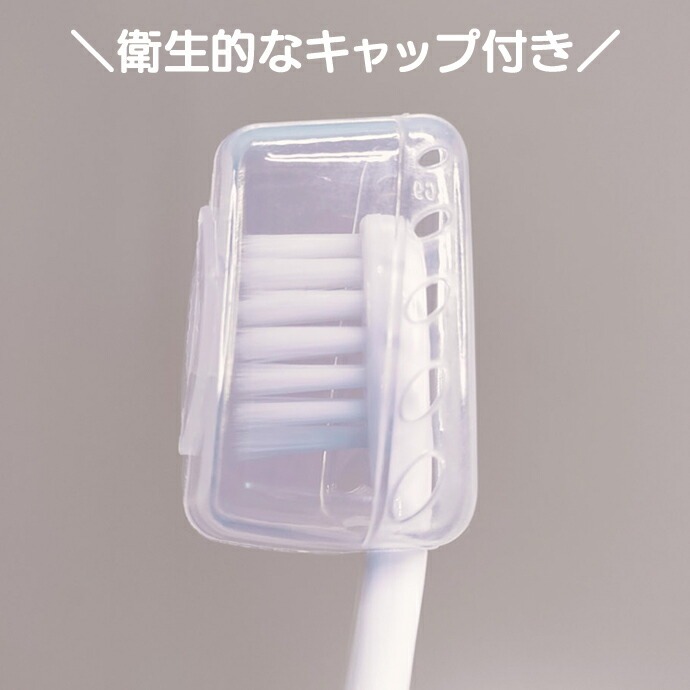 Ci�٥��ӡ��ƥ��������֥饷 1�� ���餫�� �����顼����Ź���ޤ���